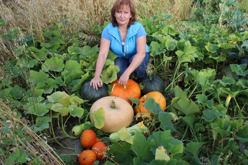 ea033913422ea1930739963856f6d9c9