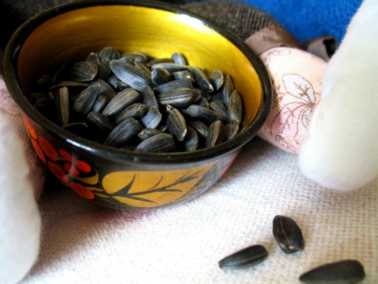 d5e4e409dd86bc3a2720702666e320ab