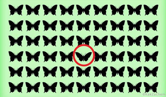 0a603425b26ca2febd58df894fbda84e