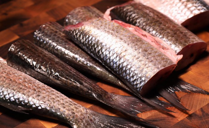 26b314ad1ec56cf5ead02281661a3e5e