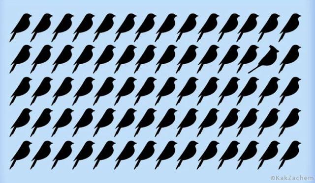 2d18f33782c174426d2d445ea73b76c6