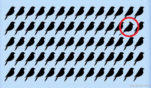 96d905f7de67aed4a1e21ad50098ce9f