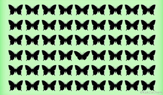 bf69a162f7b0ccdf87b7bbf832fa12fc