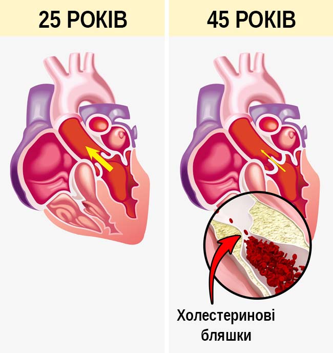 10 речей, які відбуваються з вашим тілом, коли ви сидите по 8 годин в день 37 fa7dc43de2f4c6e6eb74c7370c8e99d0