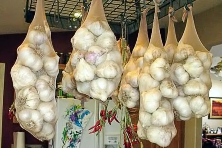 03e637286e2efe229877e217b43da2ae