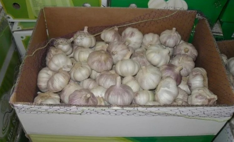 44669009c7c5c90b0baa2d04aafd241b