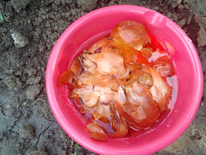 4c59808820d9507eb3f3fd3ffa5197d4