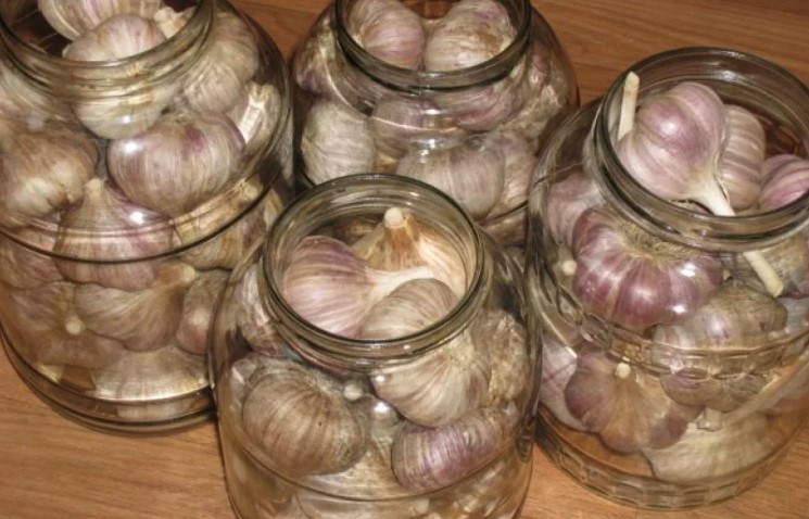 9b4b5d24b080dd847aa3bda993b4e460