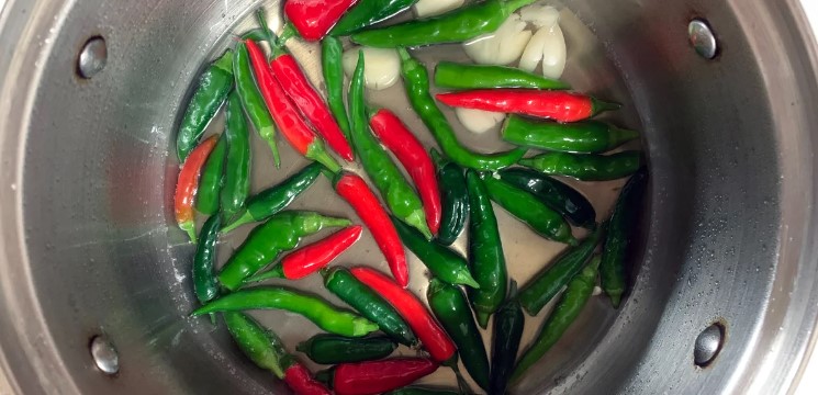 aa0a5b7ca2d6cdf75ea10ef8c04649ca