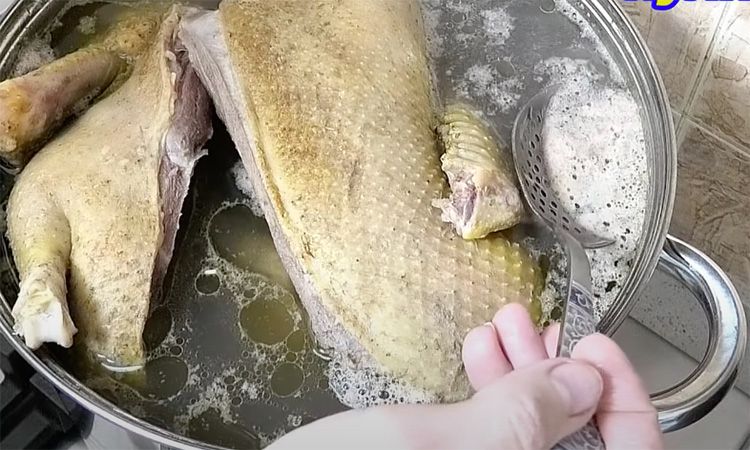 c5a130581986d06e9de4fd51d195af36
