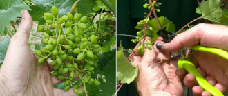 e557ee86ab4ed3369c590cfc6e5a2d45