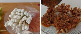 ee7c50e5be3dbc529797abb4f05863a6