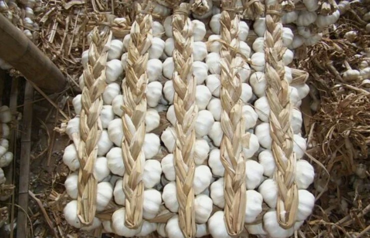 fd3fd83ce71227c37caf59657bea4117