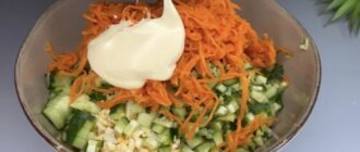 hodovij salat jakij pobiv usi rekordi za shvidkistju prigotuvannja 2aa7459