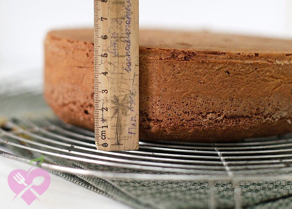 2ece5516c238fb76837bdafb47f1805e