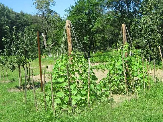 3058b6762c674656dc221d3efc02d99b