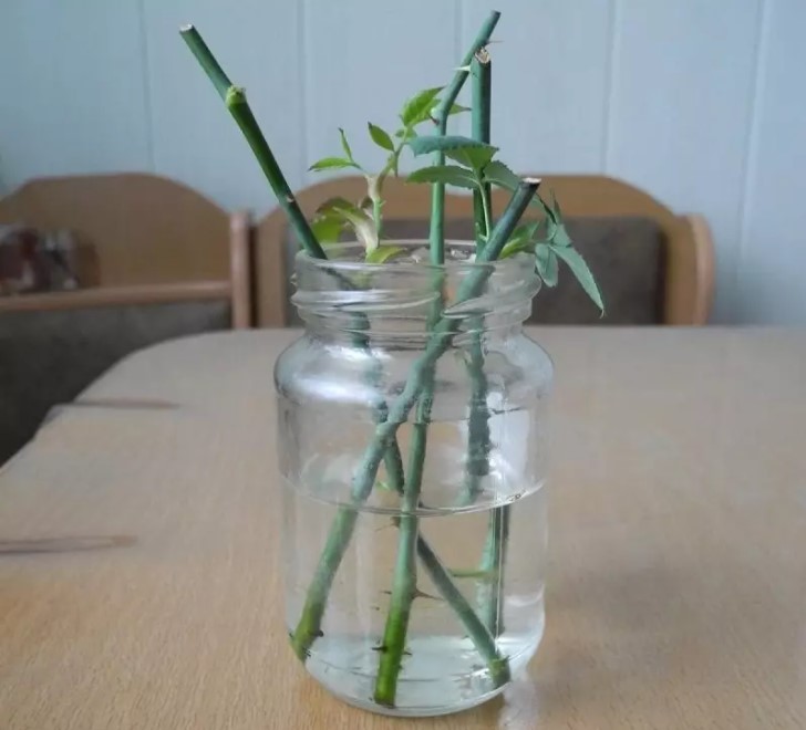 38e0498223011c634afacc4648e46e56