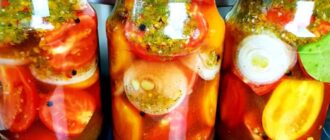 6faa502dbd507a1fdab489f4e9d02c79