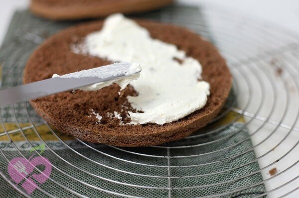 79f64c12c2ebe0e2bd72c076c2b0eab5