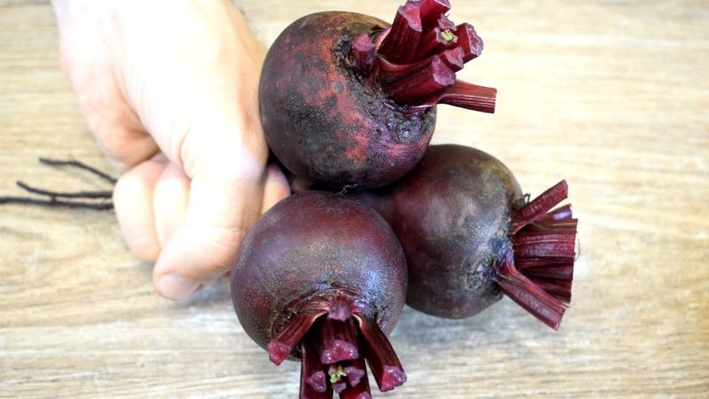 7af045f4bc5884b1f79cb05cefd4e32c