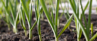 7e496372b95a906900e3a1347cd08dfa