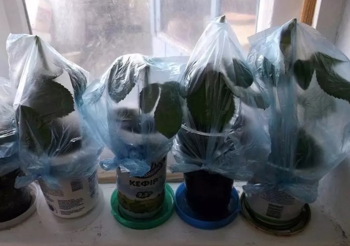 892d2078105307ed0a2dbb875390c4d1