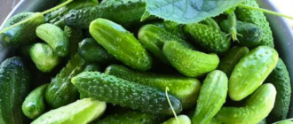 a2a4202a0fd0315a4796dfa8b63e311d