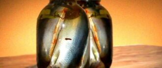 c377e6104f84796f634b1c080f1b79fe