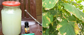 c461c8727f775850446f4734a55128a3