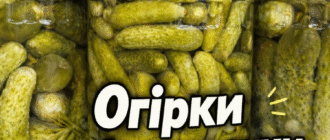 collageeditor.com 1772285587220