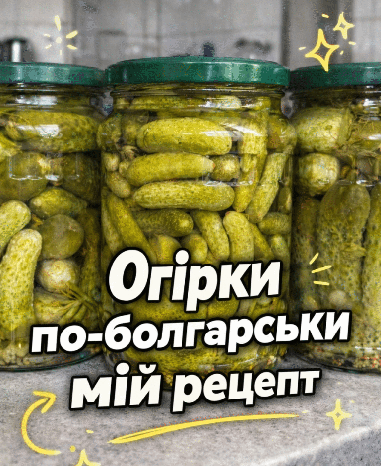 collageeditor.com 1772285587220