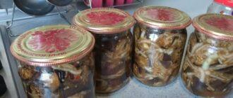 d6d5cead864d4f7b207cef3512d31169