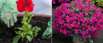 ea7eb092dcca85b4c998ee250d49dfeb