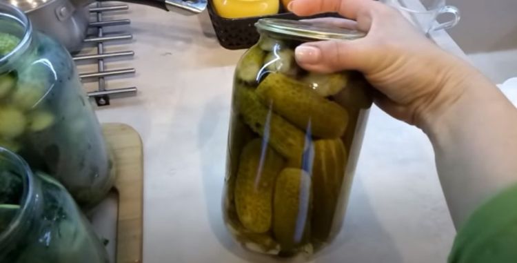 ef55492d385c107a133249e8cc6e3cb1