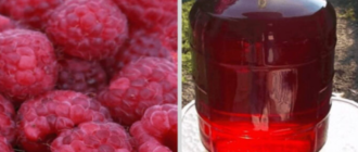 febf9a79f3f9f0734df39fb9ac38625d