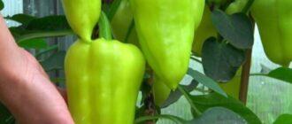 025f9ef1b15ae1644e33c5e5d494f7f5