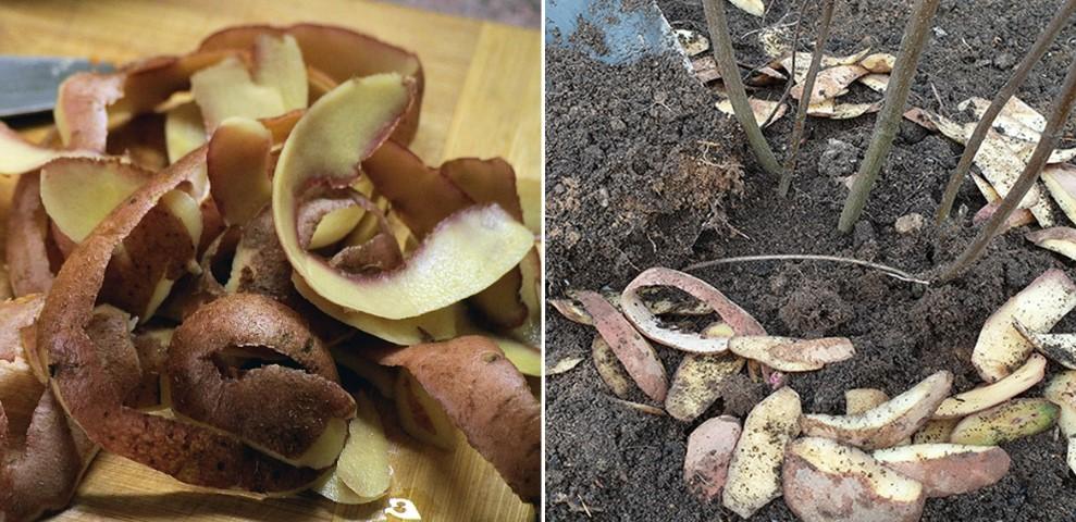 031eaea782b9dc29327aab6aba8fab0a