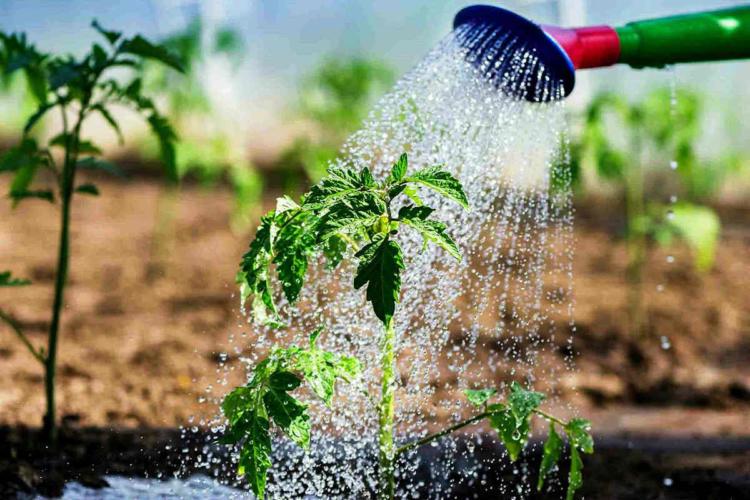 07d79c5dda980b0aec0ad1608bb2fbc8