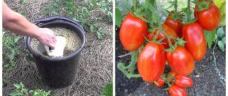 543f57e05d73076db5861de60512fc4b