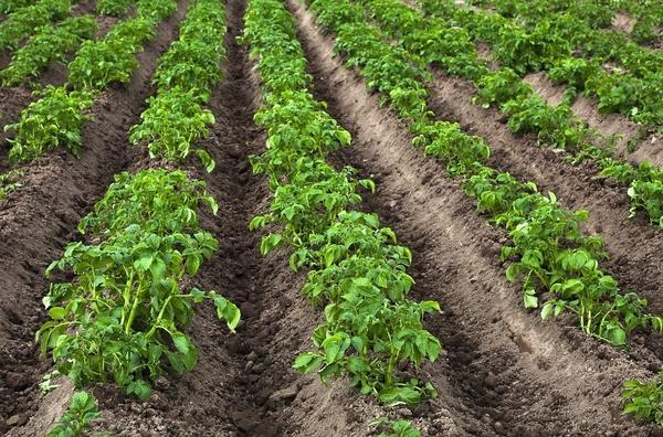 787d93bdd155d2036a74cb350f0a7423