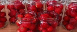 7dd2505e78b667aad610664c6f35fce0