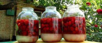 8569a8d2c86e1fbb703a7a2f19c94b74