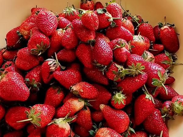 9971bf6a42ad3d83dacf357ad1015615