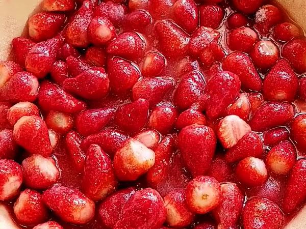 e4af161fa245d21d725c1fb47056730b