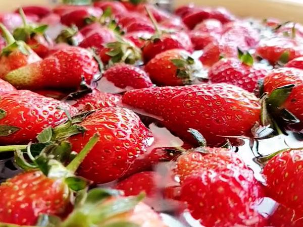 e8f43ddf504fe9e7dd7f614a52996347