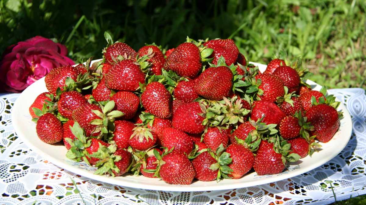 f748282ca4c994c05851d493519300b6