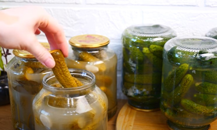 01b2015f6637dccc9d47c07c250c04b9