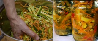 1d7f56160053a11a15641217cb5e66fc