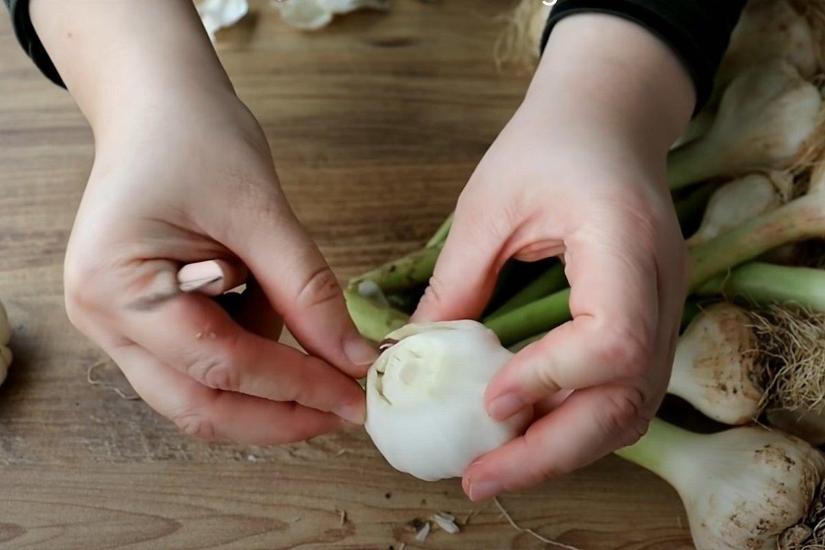 59c6ada230bd130cc0a525f69e356b9e