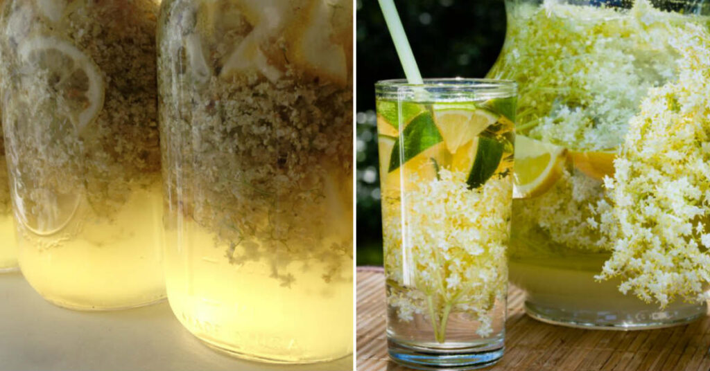 8a2571ed8c3896e6f80d6ad024948934